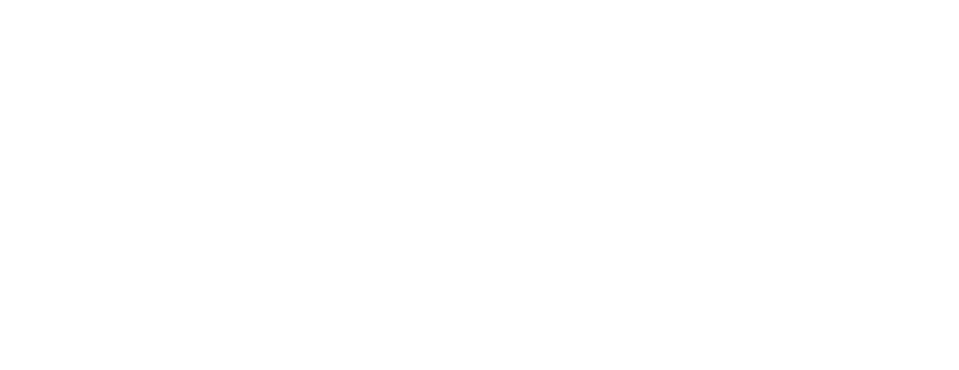 lyzr